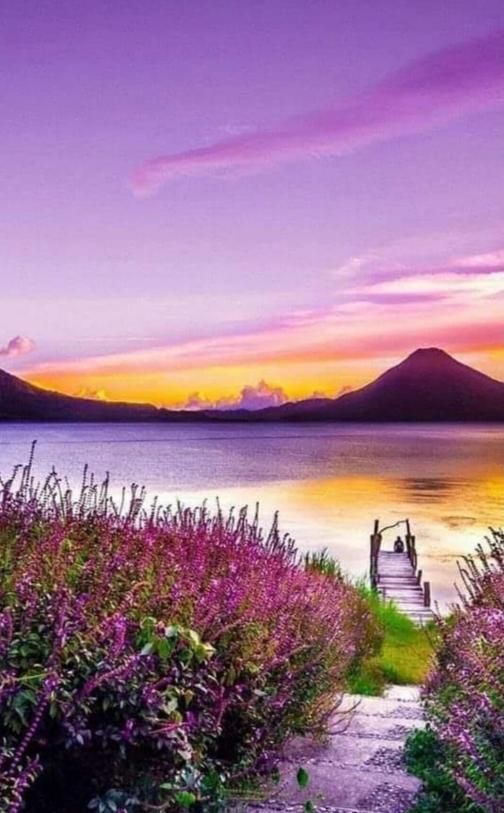 621018702: Chica busca chico en Alicante