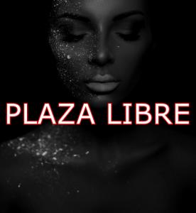 691138936: Chica busca chico en Las Palmas