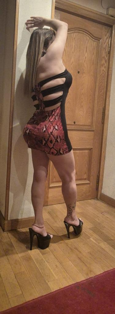 Chica busca chico en Navarra: 