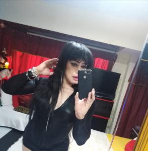 627316125: Transexual en Alicante