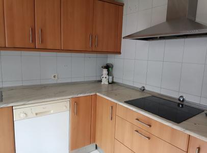 Chica busca chico en Vizcaya: 