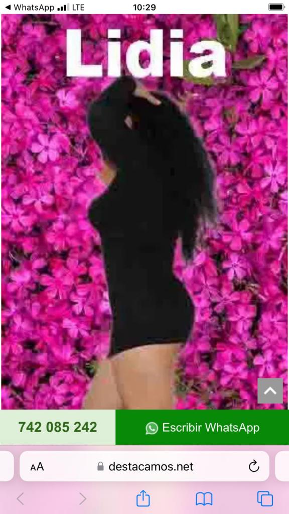 Chica busca chico en Valladolid: 