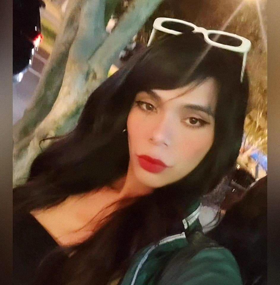 Travesti en Navarra: 