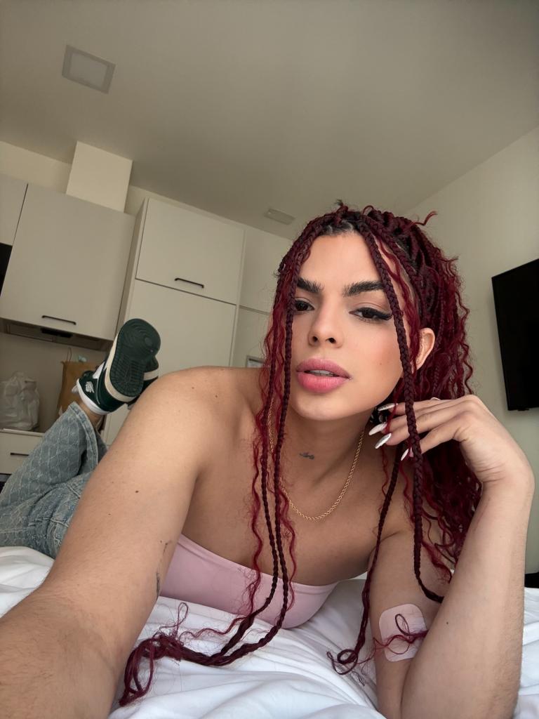 Transexual en Guipúzcoa: Transexuales y Travestis