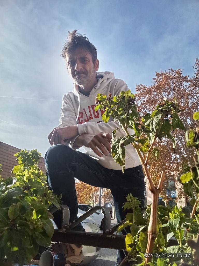 Chico busca chica en Barcelona: 