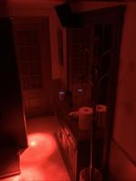 600606637: Transexual en Valencia